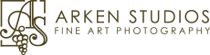 Arken Studios logo
